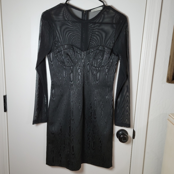 Alice + Olivia Takako Mesh Mini Black Dress | Alice + Olivia Dress | Size 6 - Picture 2 of 11